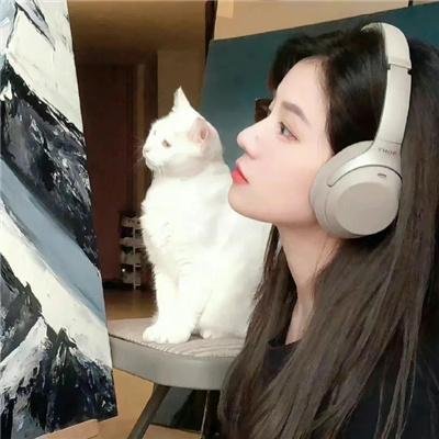 完美世界剧场版